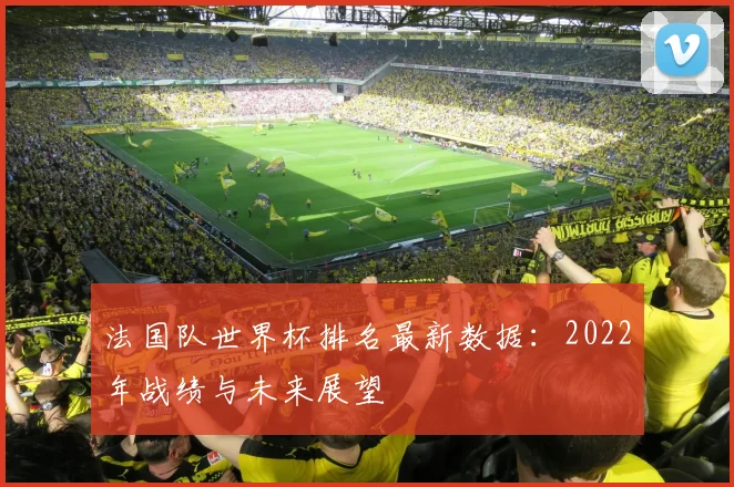 法国队世界杯排名最新数据：2022年战绩与未来展望