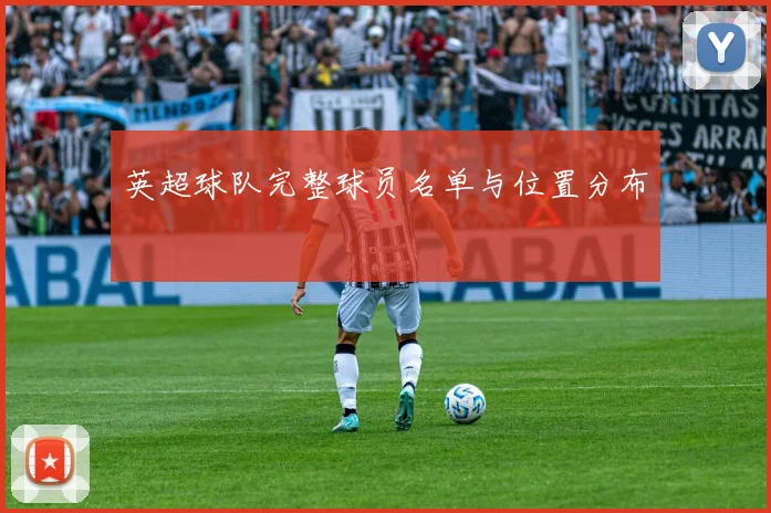 英超球队完整球员名单与位置分布