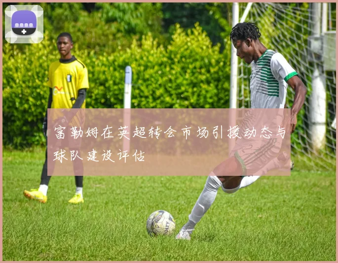 富勒姆在英超转会市场引援动态与球队建设评估