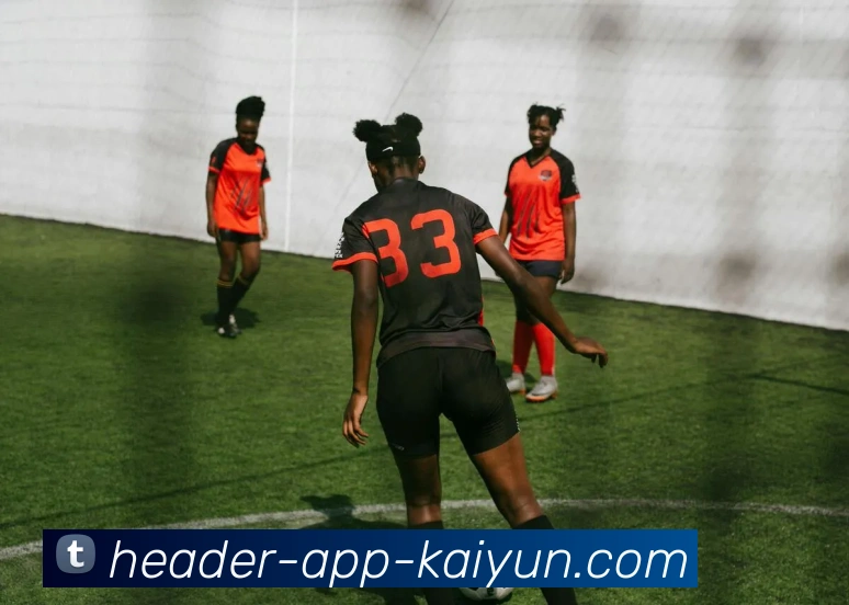 开云app平台生态图