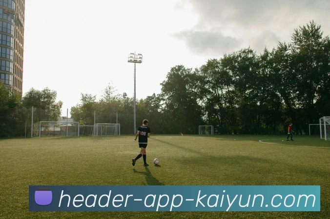 开云appAPP 封面图